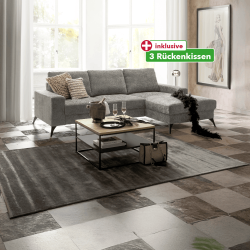 10230500 001 Ecksofa