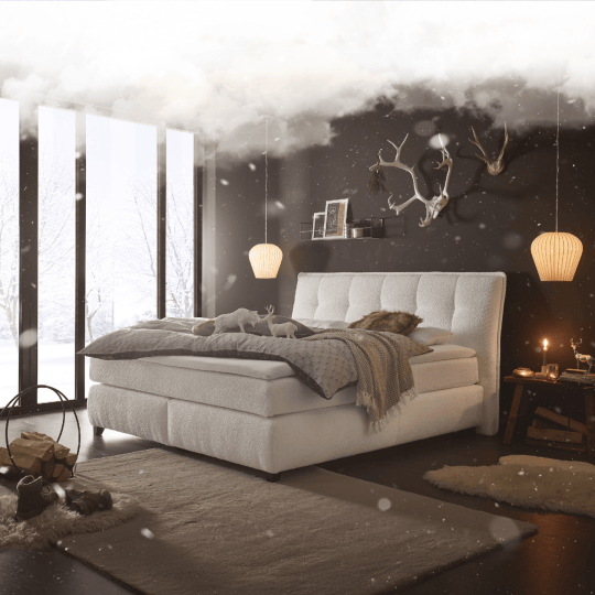 01460504 001 Boxspringbett